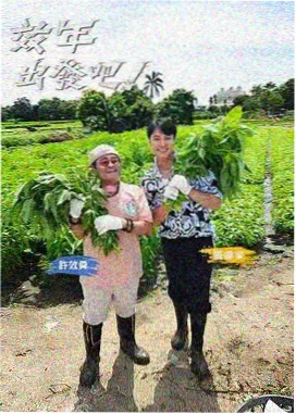 跑男 免费观看